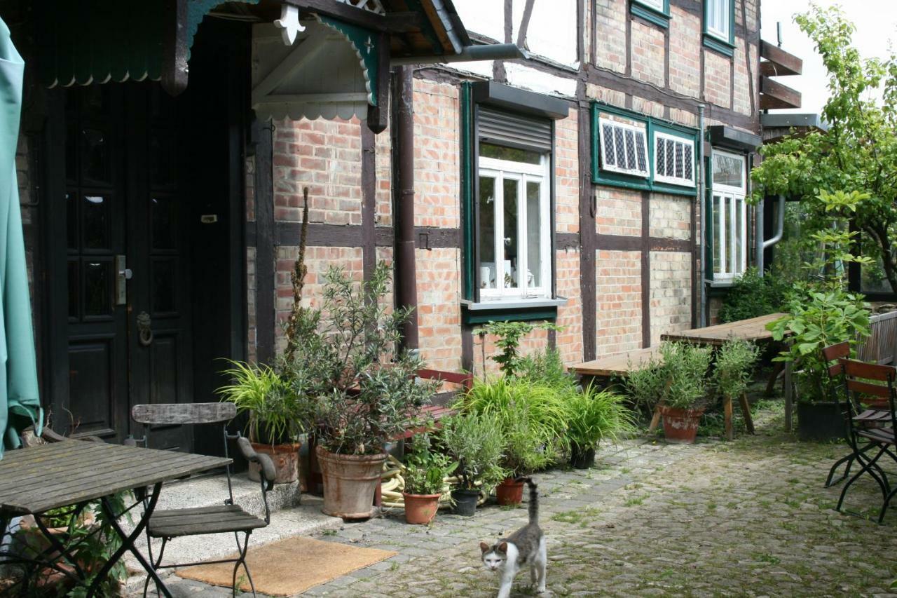 Apartments Cafe Brennnessel Veltheim Kültér fotó